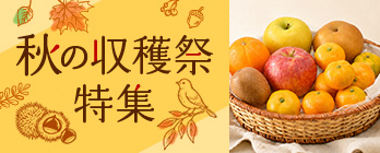 秋の収穫祭特集