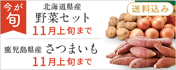旬の野菜特集