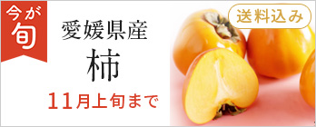 季節のフルーツ_柿