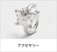 アクセサリー