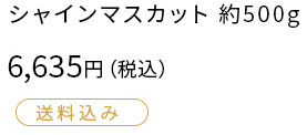 シャインマスカット 約500g 6635円 送料込み