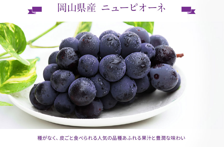 岡山県産ニューピオーネ 種がなく、皮ごと食べられる人気の品種あふれる果汁と豊潤な味わい