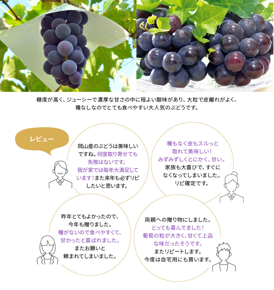 糖度が高く、ジューシーで濃厚な甘さの中に程よい酸味があり、大粒で皮離れがよく、種なしなのでとても食べやすい大人気のぶどうです。