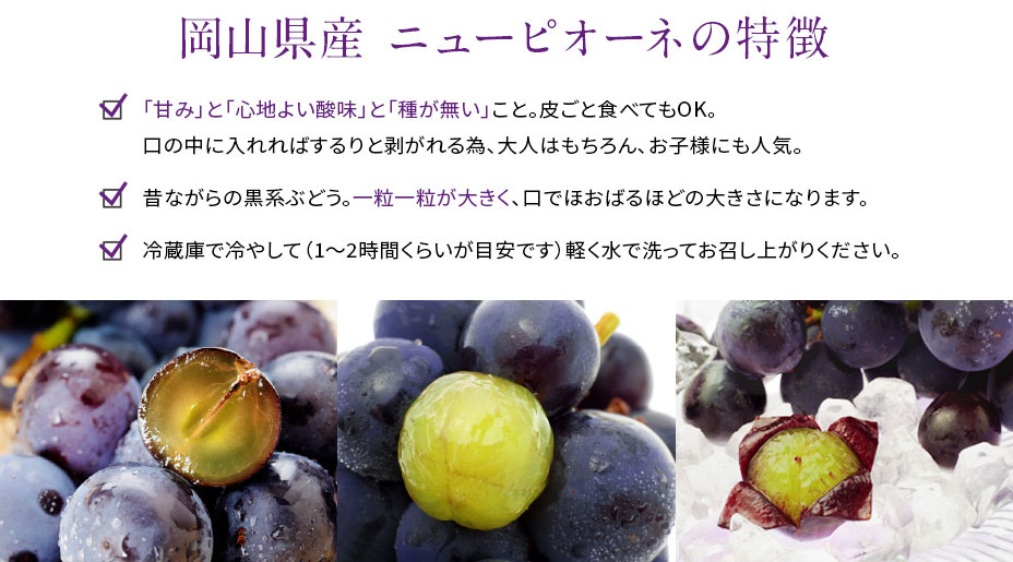 岡山県産 ニューピオーネの特徴 「甘み」と「心地よい酸味」と「種が無い」こと。皮ごと食べてもOK。口の中に入れればするりと剥がれる為、大人はもちろん、お子様にも人気。昔ながらの黒系ぶどう。大粒一粒一粒が大きく、口でほおばるほどの大きさになります。冷蔵庫で冷やして（1～2時間くらいが目安です）軽く水で洗ってお召し上がりください。