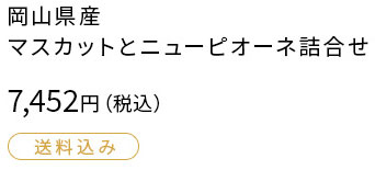 マスカットとニューピオーネの詰合せ 7452円（税込み）送料込み