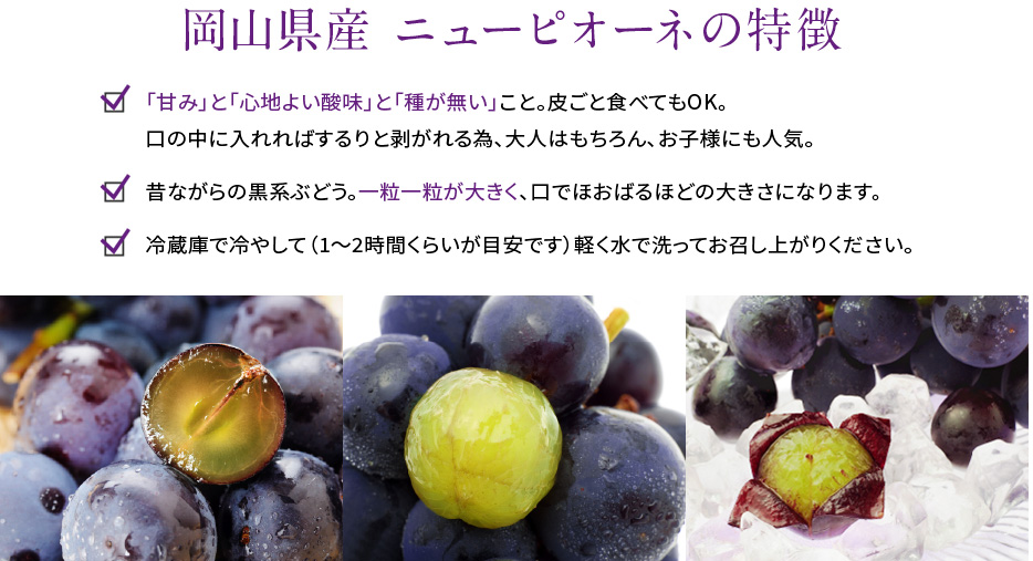 岡山県産 ニューピオーネの特徴