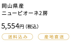 岡山県産ニューピオーネ2房 5554円（税込）