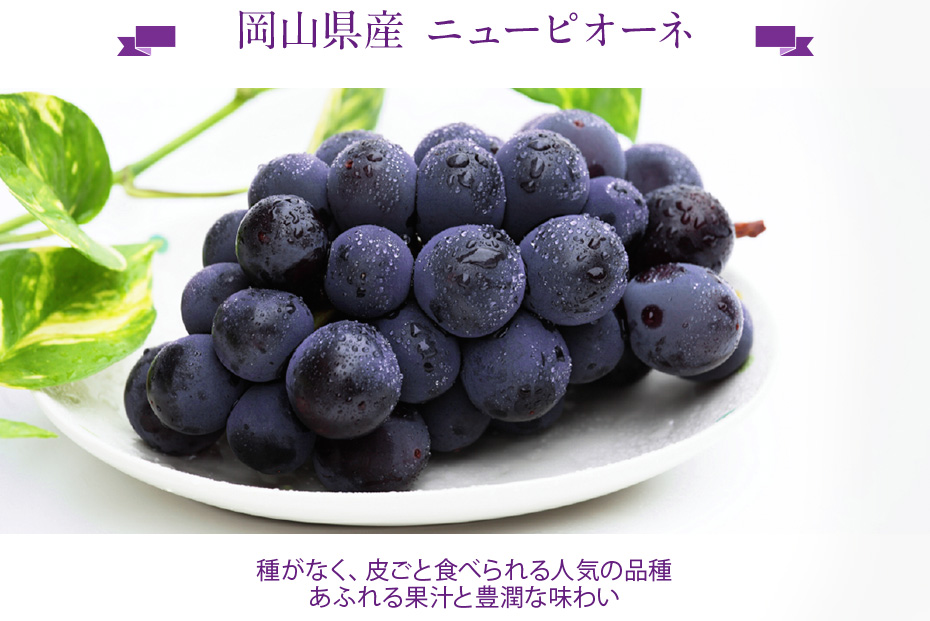 岡山県産ニューピオーネ 種がなく、皮ごと食べられる人気の品種あふれる果汁と豊潤な味わい