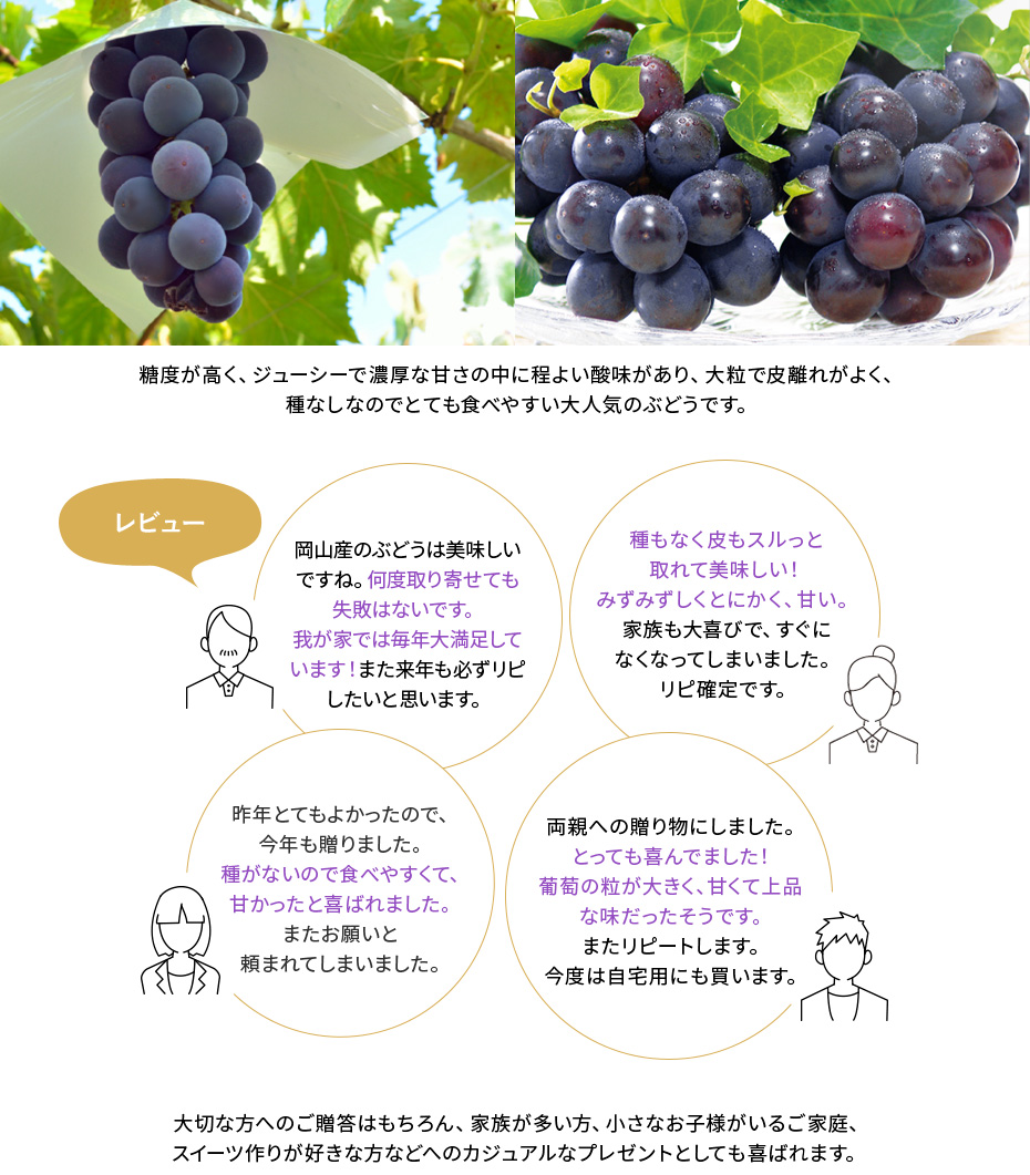 糖度が高く、ジューシーで濃厚な甘さの中に程よい酸味があり、大粒で皮離れがよく、種なしなのでとても食べやすい大人気のぶどうです。