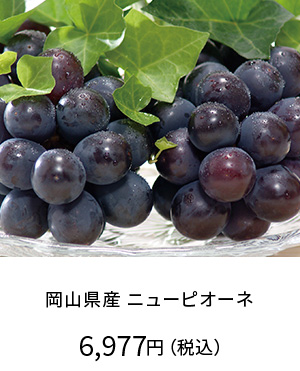岡山県産ニューピオーネ