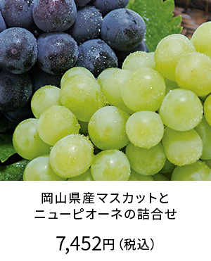 岡山県産マスカットとニューピオーネ詰合せ