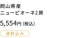 岡山県産 ニューピオーネ