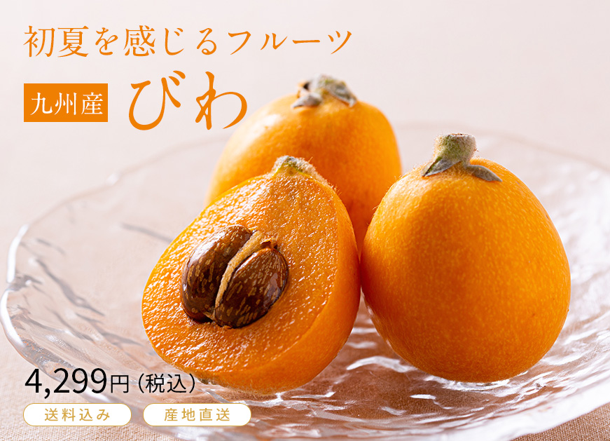 初夏を感じるフルーツ　九州産　びわ