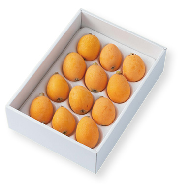 九州産びわ（12～15粒）