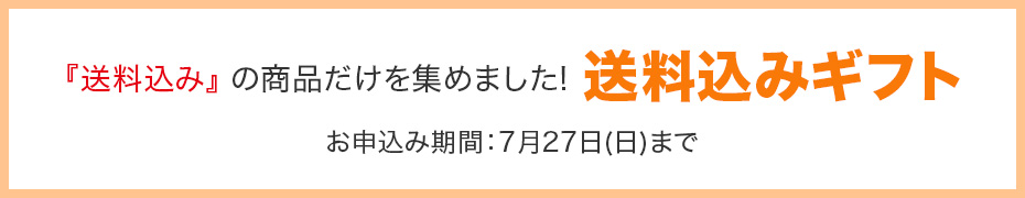 送料込み