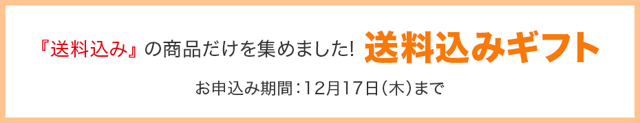 送料込み