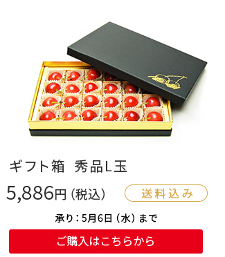 ギフト箱秀品L玉　5,886円(税込)　ご購入はこちらから