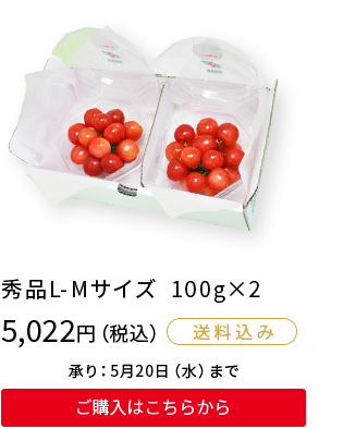 秀品L-Mサイズ　100g×2　5,022(税込)　ご購入はこちらから