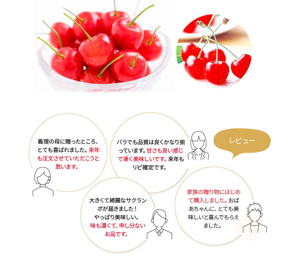 レビュー