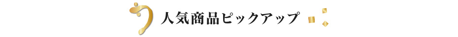 人気商品ピックアップ