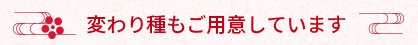 変わり種もご用意しています