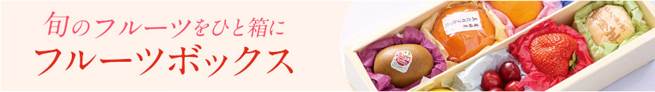 旬のフルーツボックス