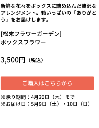 [松末フラワーガーデン]ボックスフラワー ご購入はこちらから