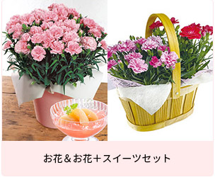 お花＆お花＋スイーツセット