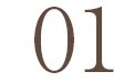 01 激落ちくんハンディモップ