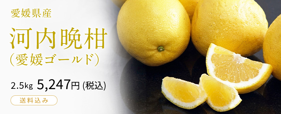 河内晩柑