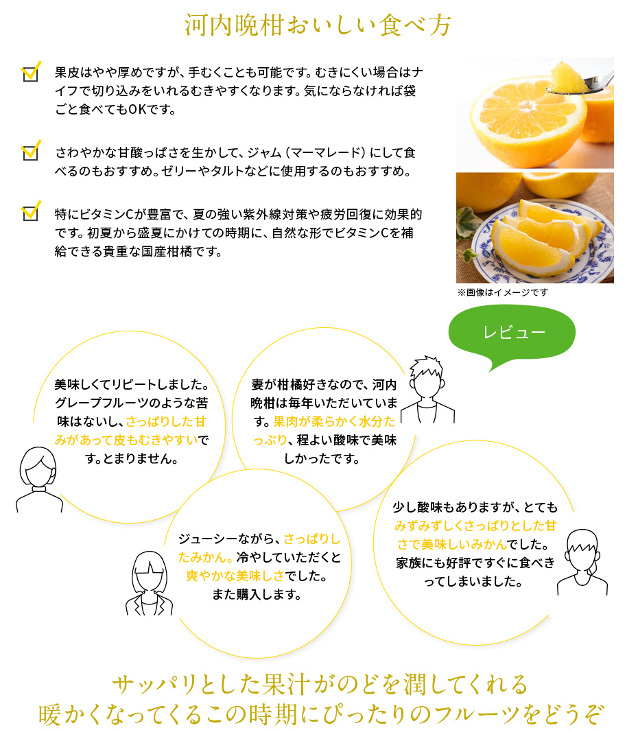 河内晩柑