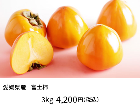 愛知県産 富士柿