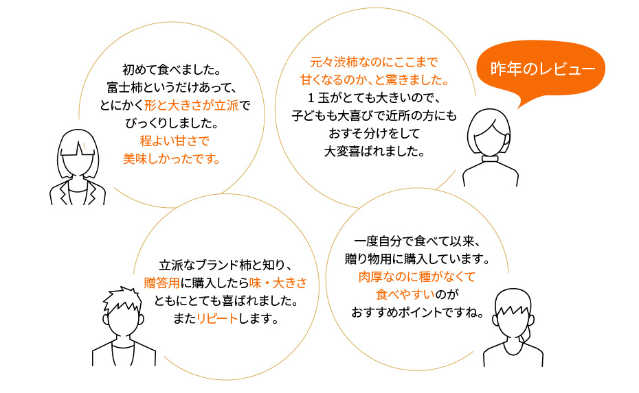 愛知県産 富士柿 レビュー