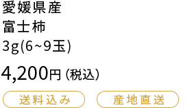 愛知県産 富士柿 3g（6~9玉）4200円（税込）