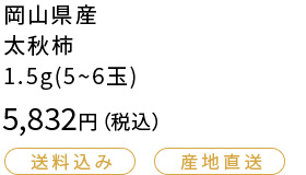岡山県産 太秋柿 1.5g（5~6玉）5832円（税込）