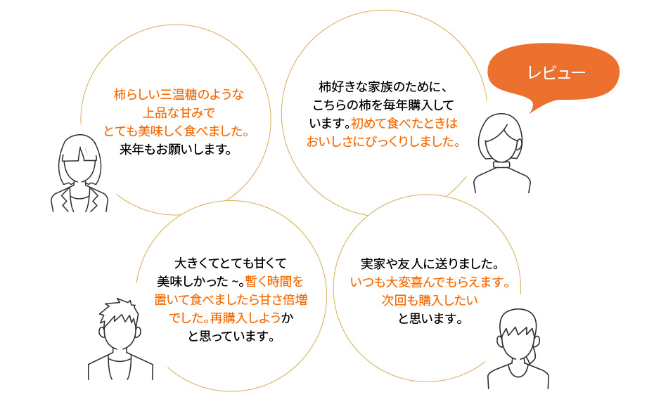 和歌山県産 種無し柿 レビュー