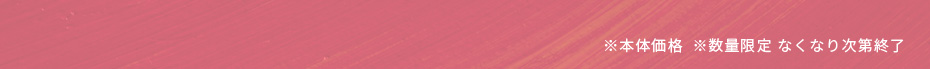 本体価格 数両限定なくなり次第終了