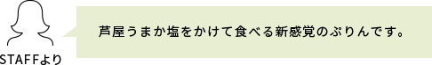スタッフコメント