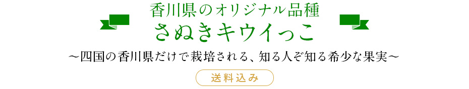 旬のフルーツキウイ　香川県のオリジナル品種さぬきキウイっこ