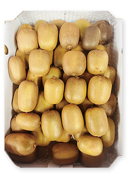 香川県産　さぬきキウイっこ