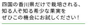 香川県　さぬきキウイっこ