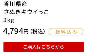 香川県　さぬきキウイっこ　3kg