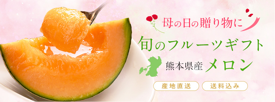 旬のフルーツギフト・熊本県産メロン