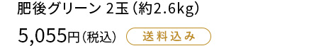 さっぱりした甘みと香り豊かなメロン ２玉