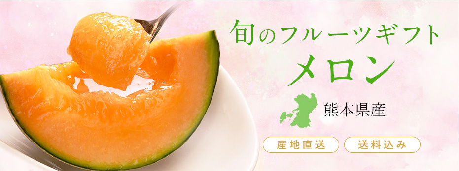 旬のフルーツギフト・熊本県産メロン