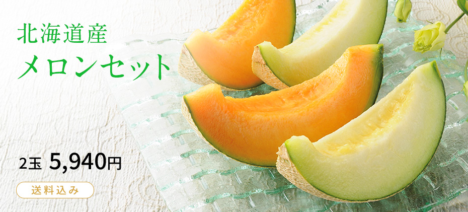 北海道産 メロンセット