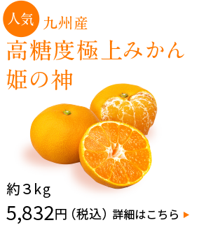 九州産　高糖度極上みかん姫の神