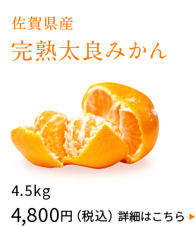 佐賀県産　完熟太良みかん