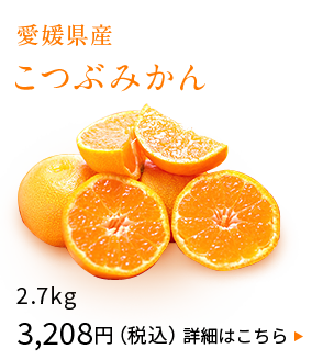 愛媛県産　こつぶみかん