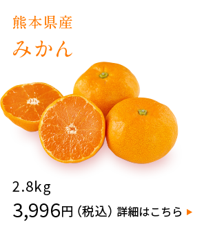 熊本県産　みかん